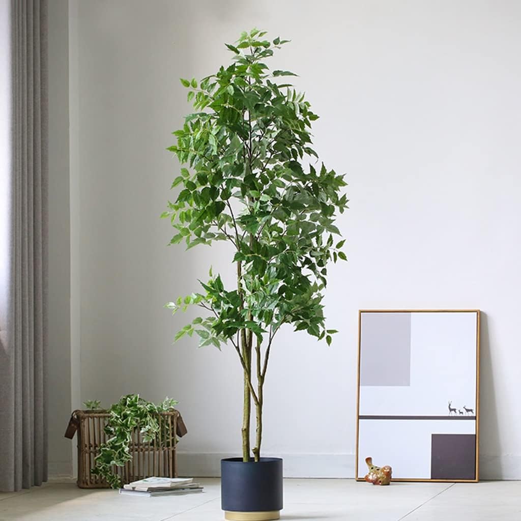 61icH8EJ+NL._AC_SL1024_