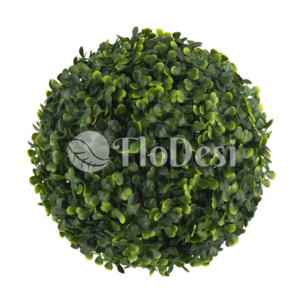 Stacked from 3 images. Method=B (R=2,S=4)