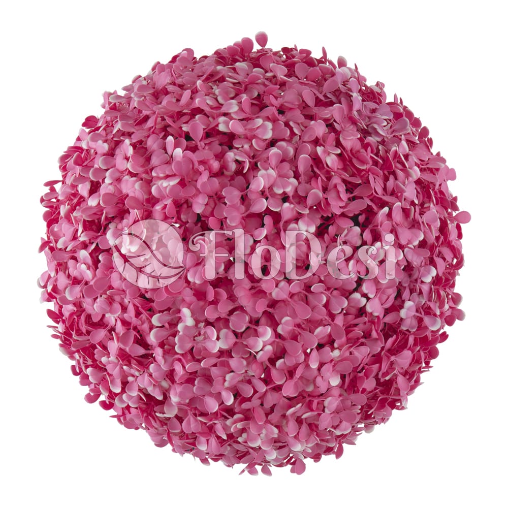 Stacked from 2 images. Method=B (R=2,S=4)