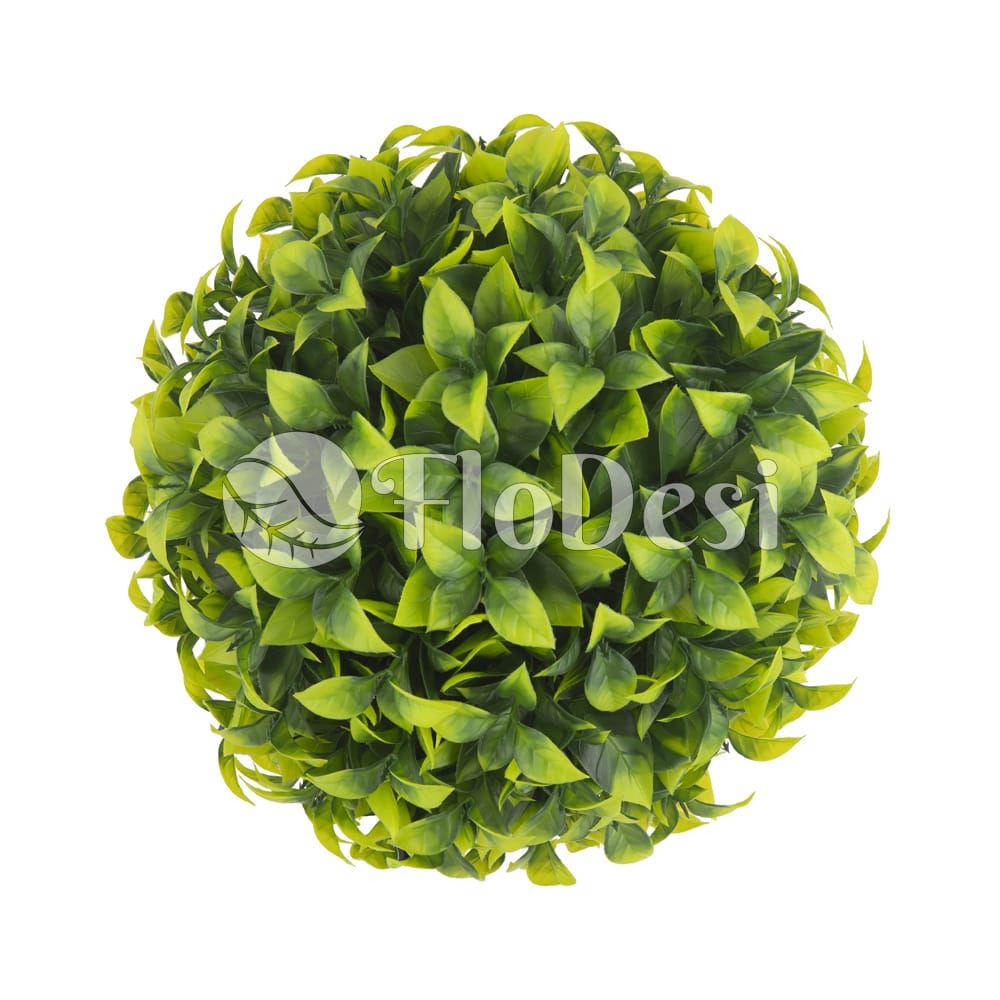 Stacked from 2 images. Method=B (R=2,S=4)