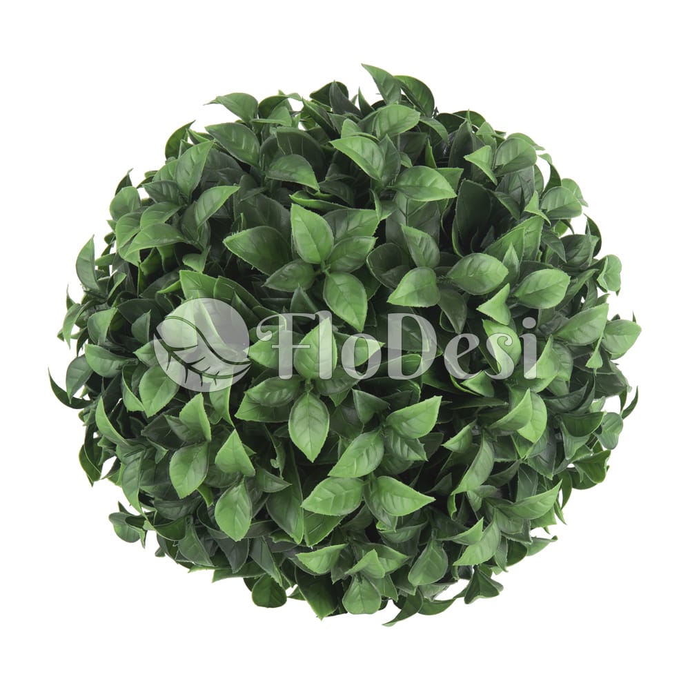 Stacked from 2 images. Method=B (R=2,S=4)