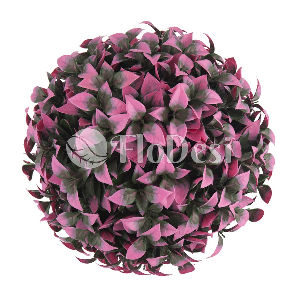 Stacked from 2 images. Method=B (R=2,S=4)