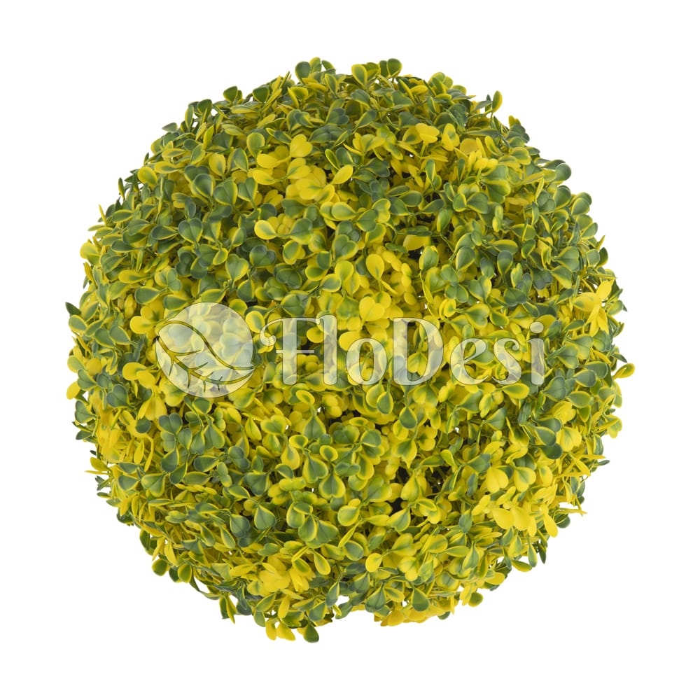 Stacked from 4 images. Method=B (R=2,S=4)