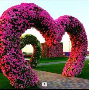 Dekoratif Yapay Bitki