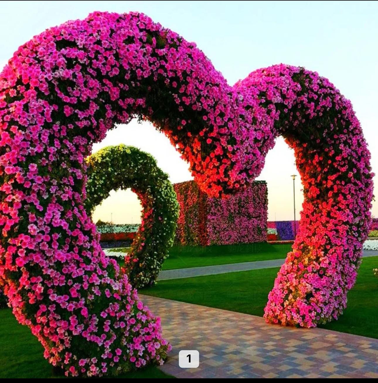 Dekoratif Yapay Bitki