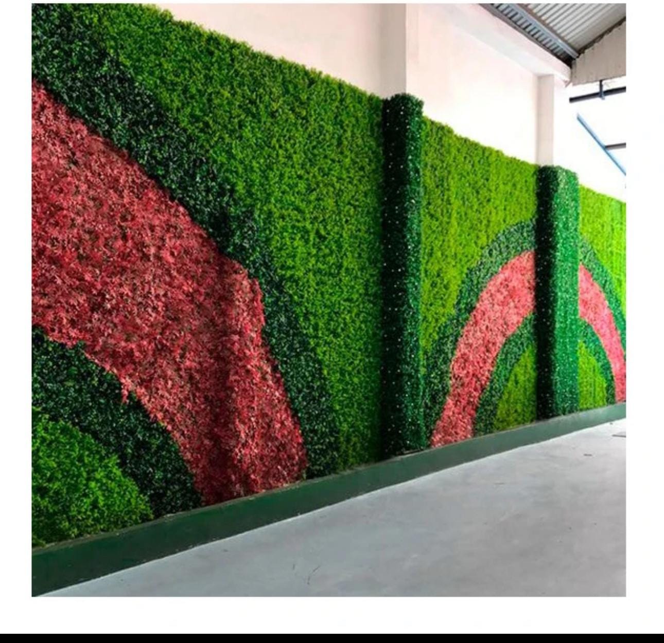 salon dekorasyonu bitkileri